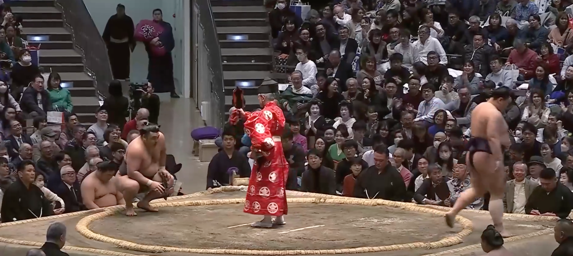 Hatsu 2026: Day Seven