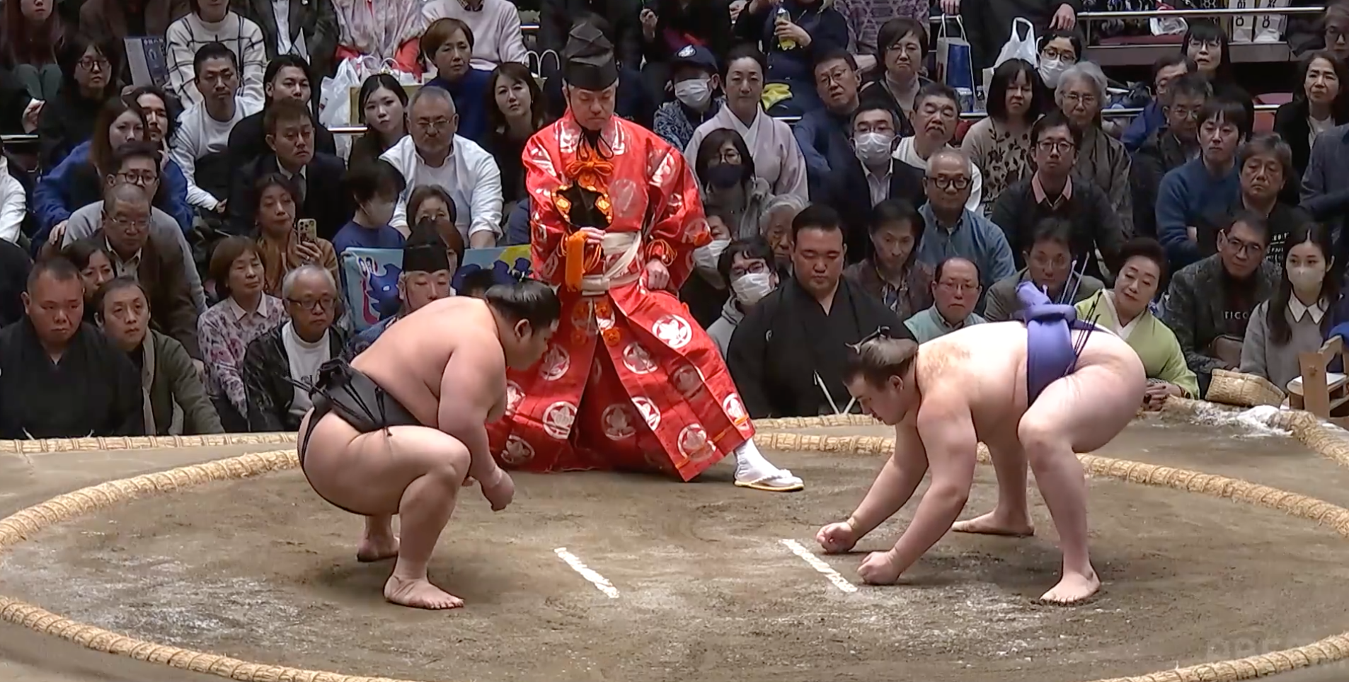 Hatsu 2026: Day Eleven